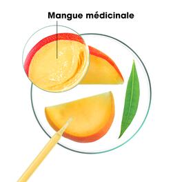 Mangue