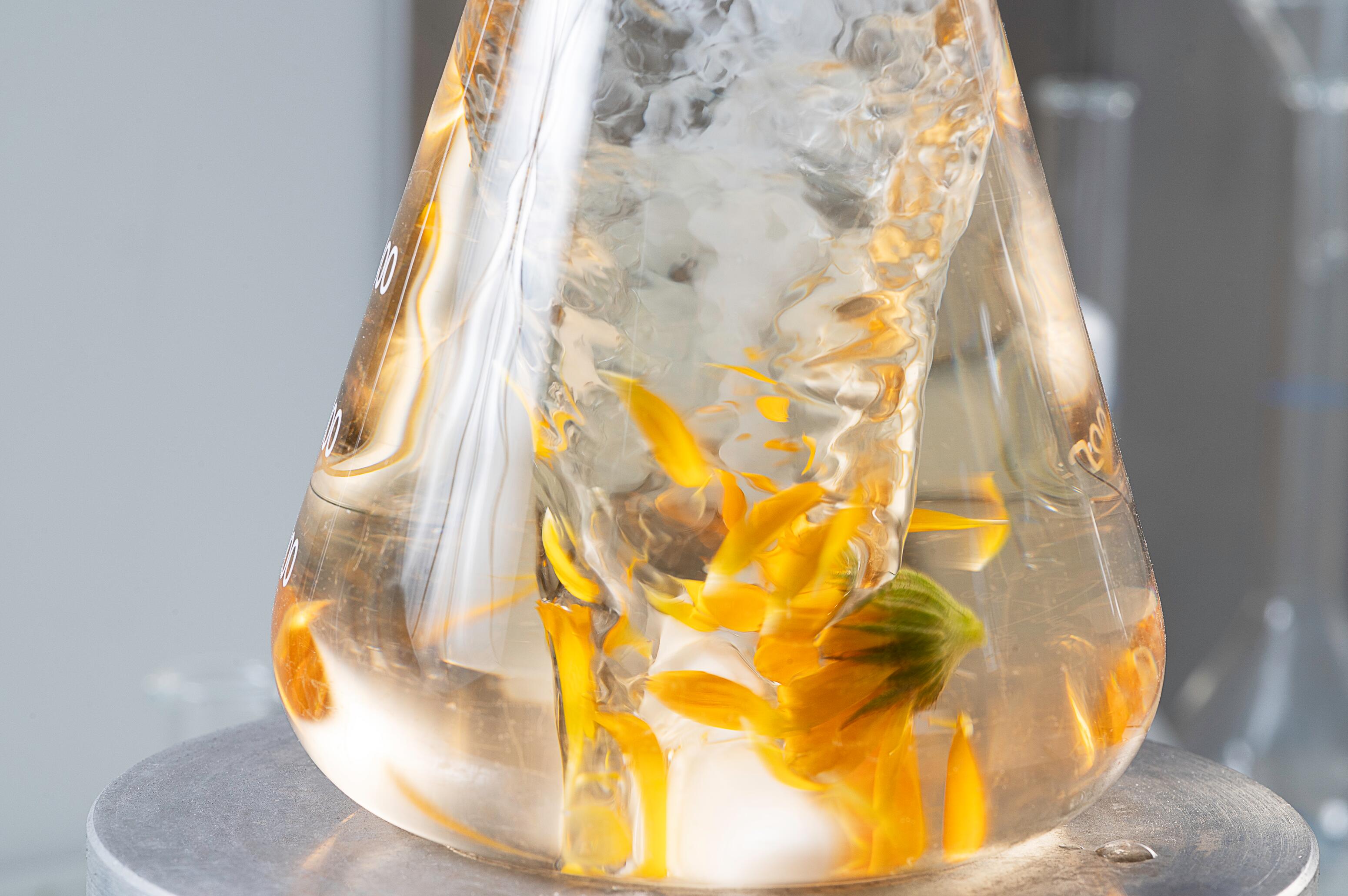 <span class="ezstring-field">kl_calendula_active-ingredient_laboratory_extraction_content-factory_benjamin_2021</span>