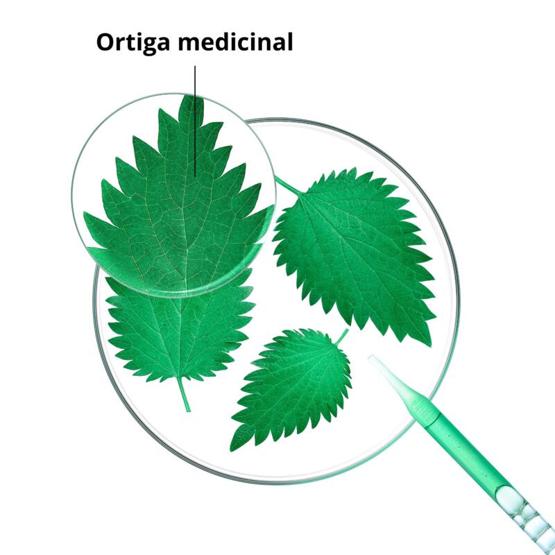 Champô com Ortiga BIO