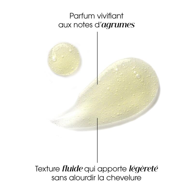 Shampoing au Cédrat