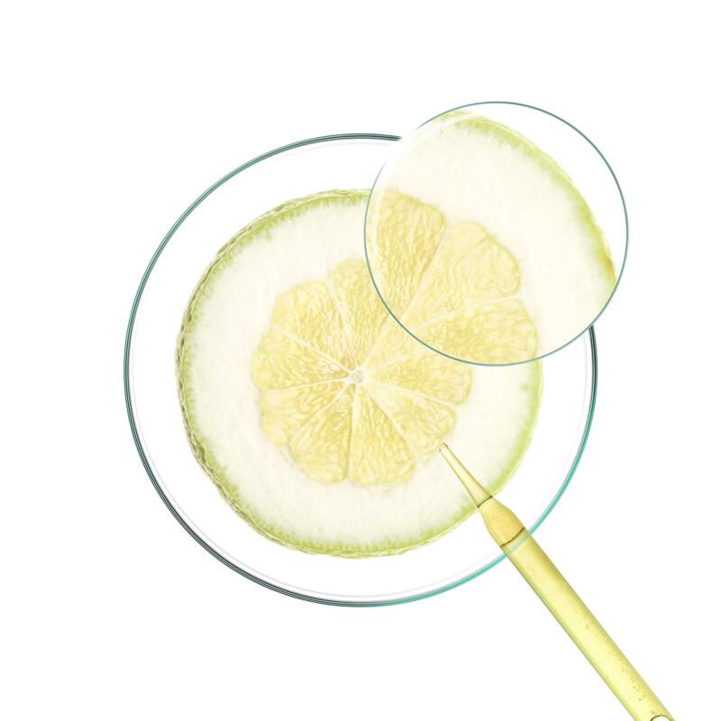 Shampoing Solide au Cédrat — Cheveux normaux à gras