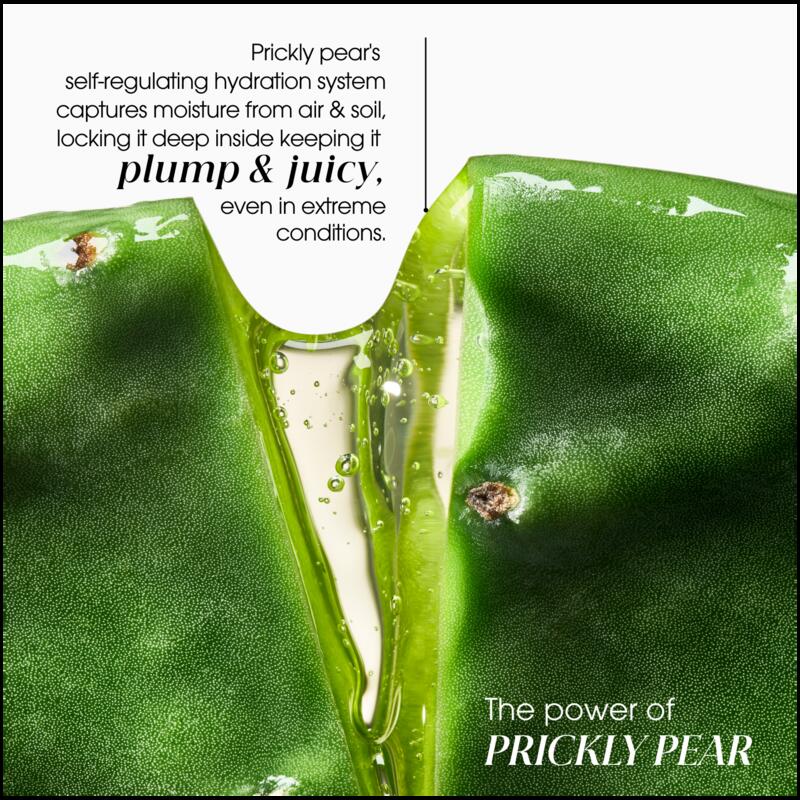 HYDRATION & SHINE QUENCHING SERUM WITH PRICKLY PEAR & HYALURONIC ACID 100ML
