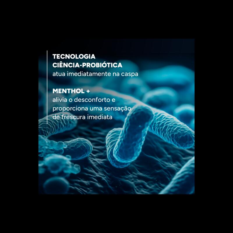  Anticaspa Champô Refrescante 