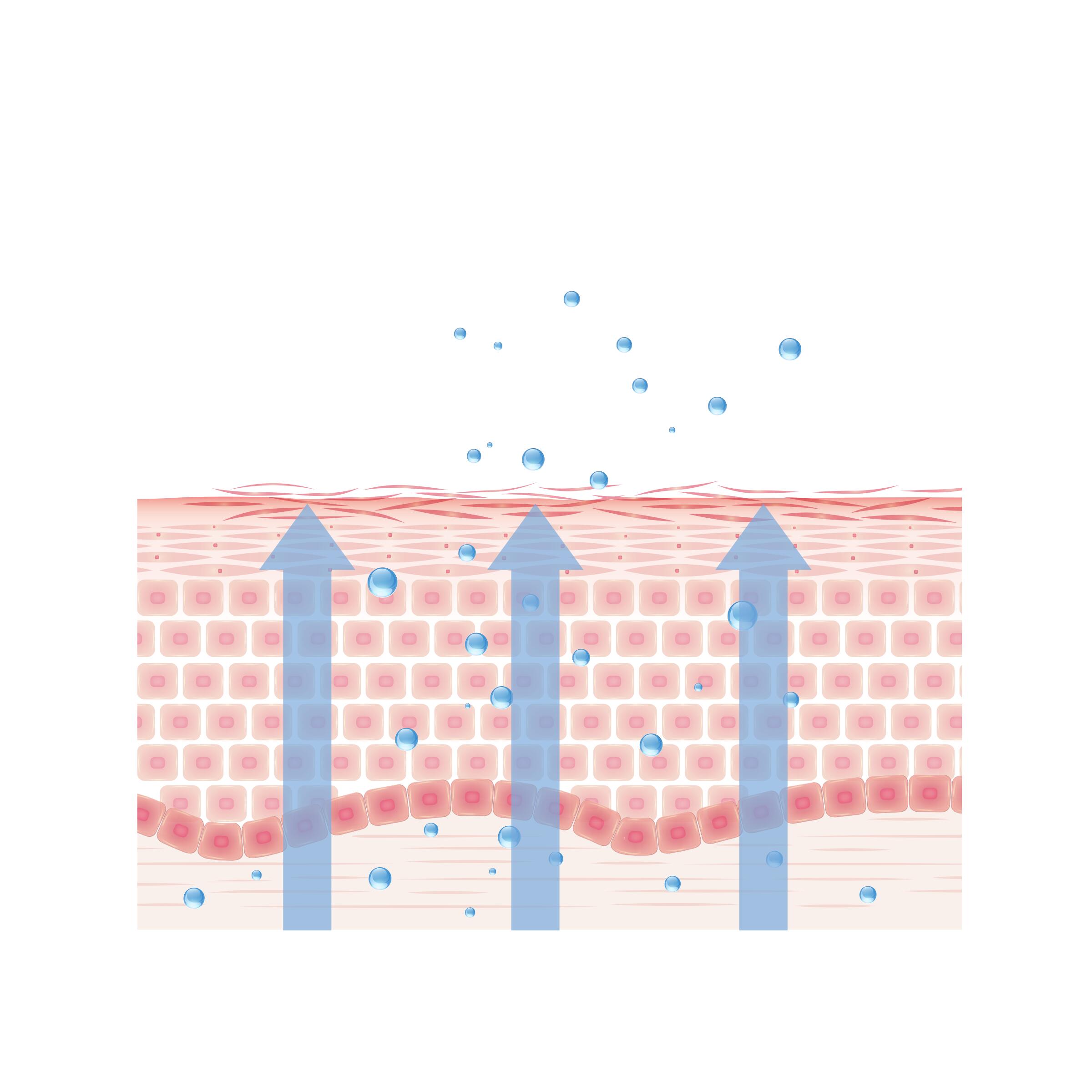 schema-savon-peau-seche