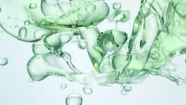 Polisacáridos de aloe