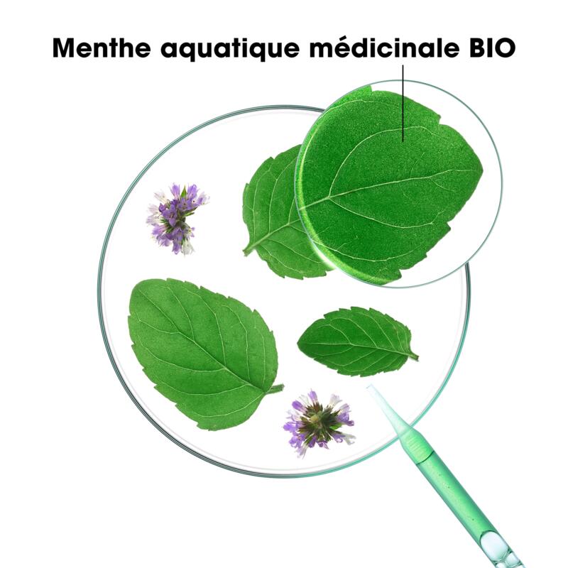 Shampoing à la Menthe aquatique BIO