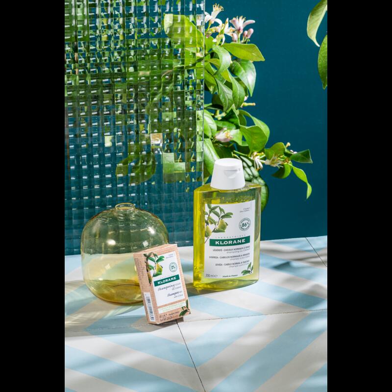 Shampoing Solide au Cédrat — Cheveux normaux à gras