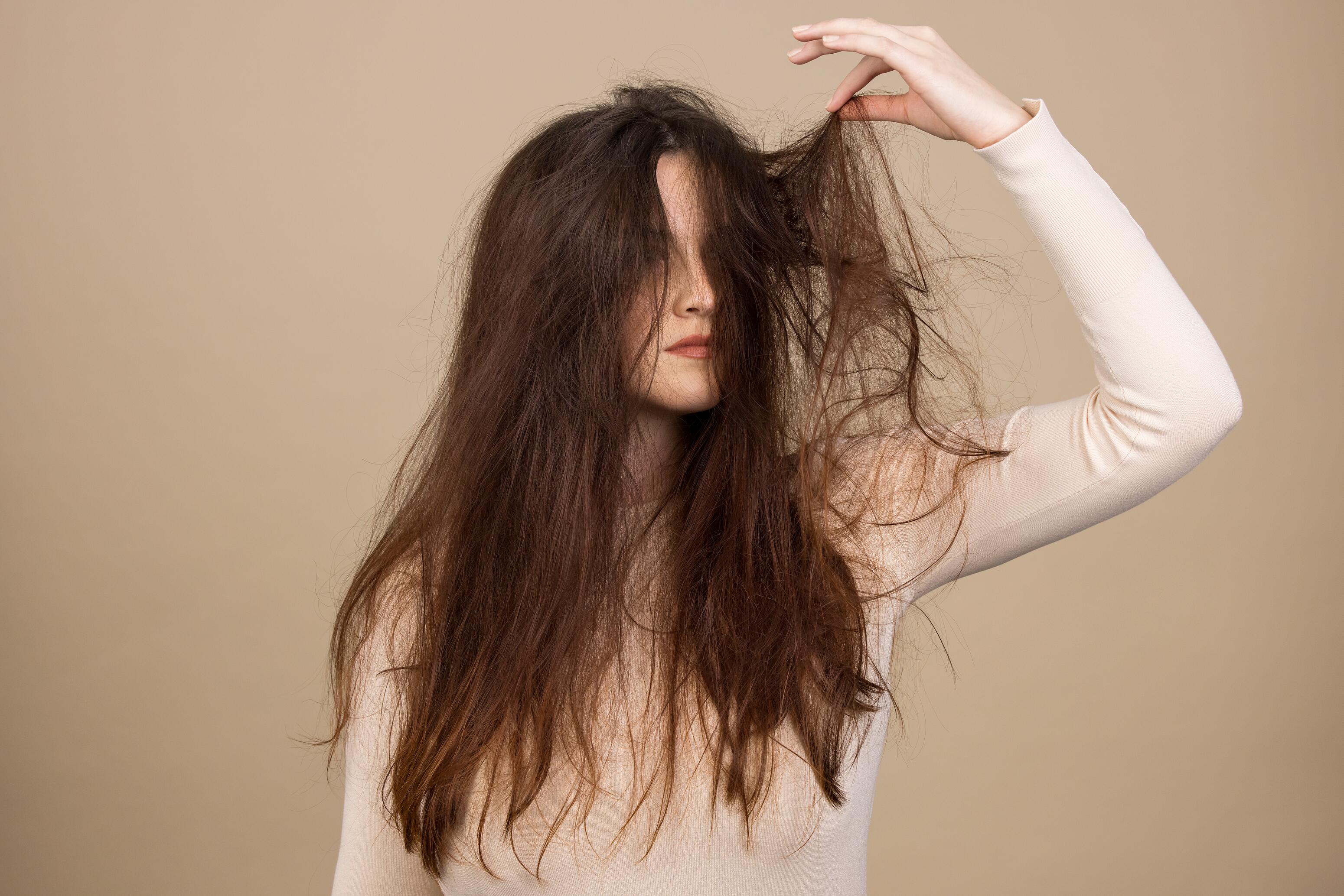 RF_very-dry-hair_visual_model