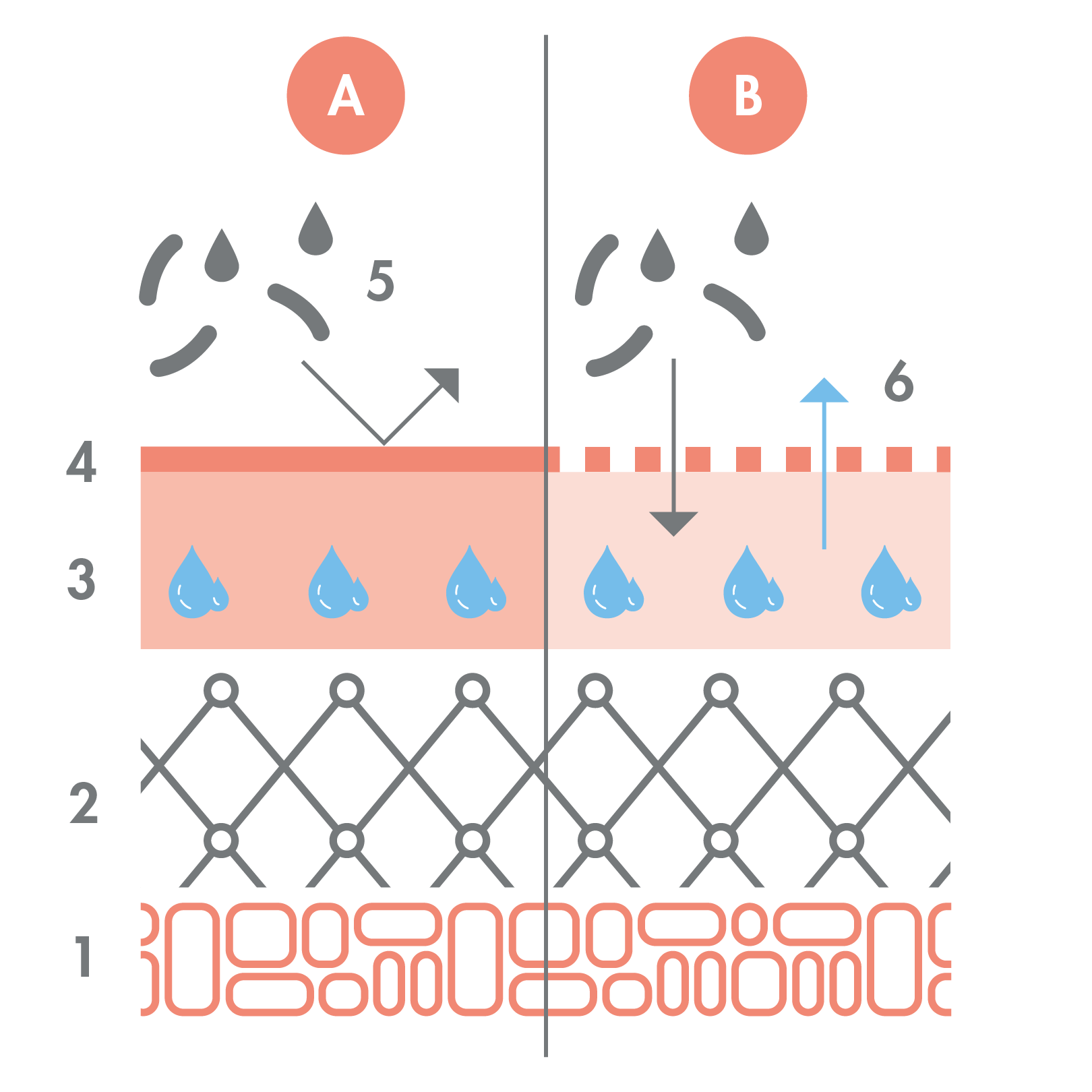 av_peaux-sensibles_schema_barriere-cutanee_1x1