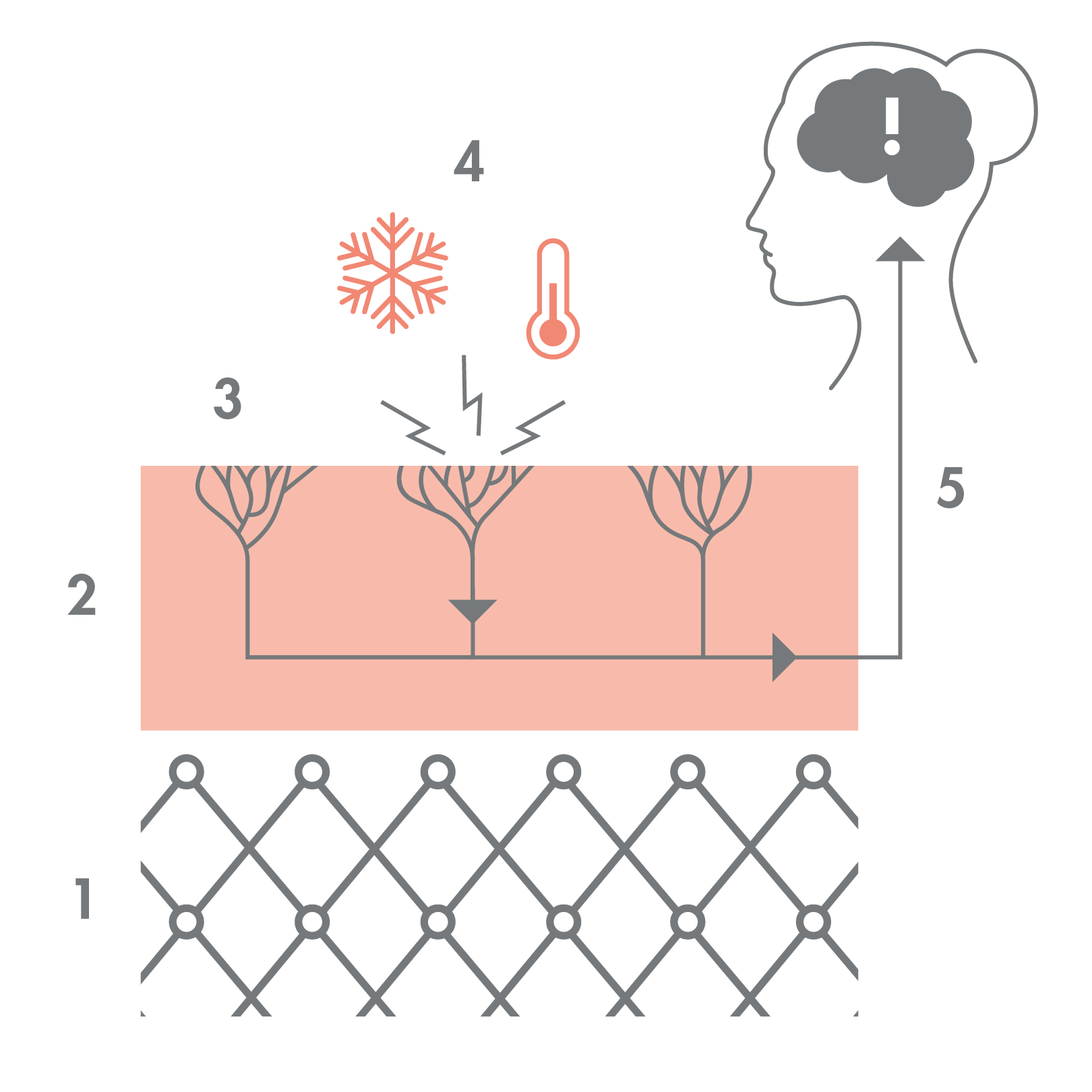 av_peaux-sensibles_schema_recepteurs-sensoriels_1x1