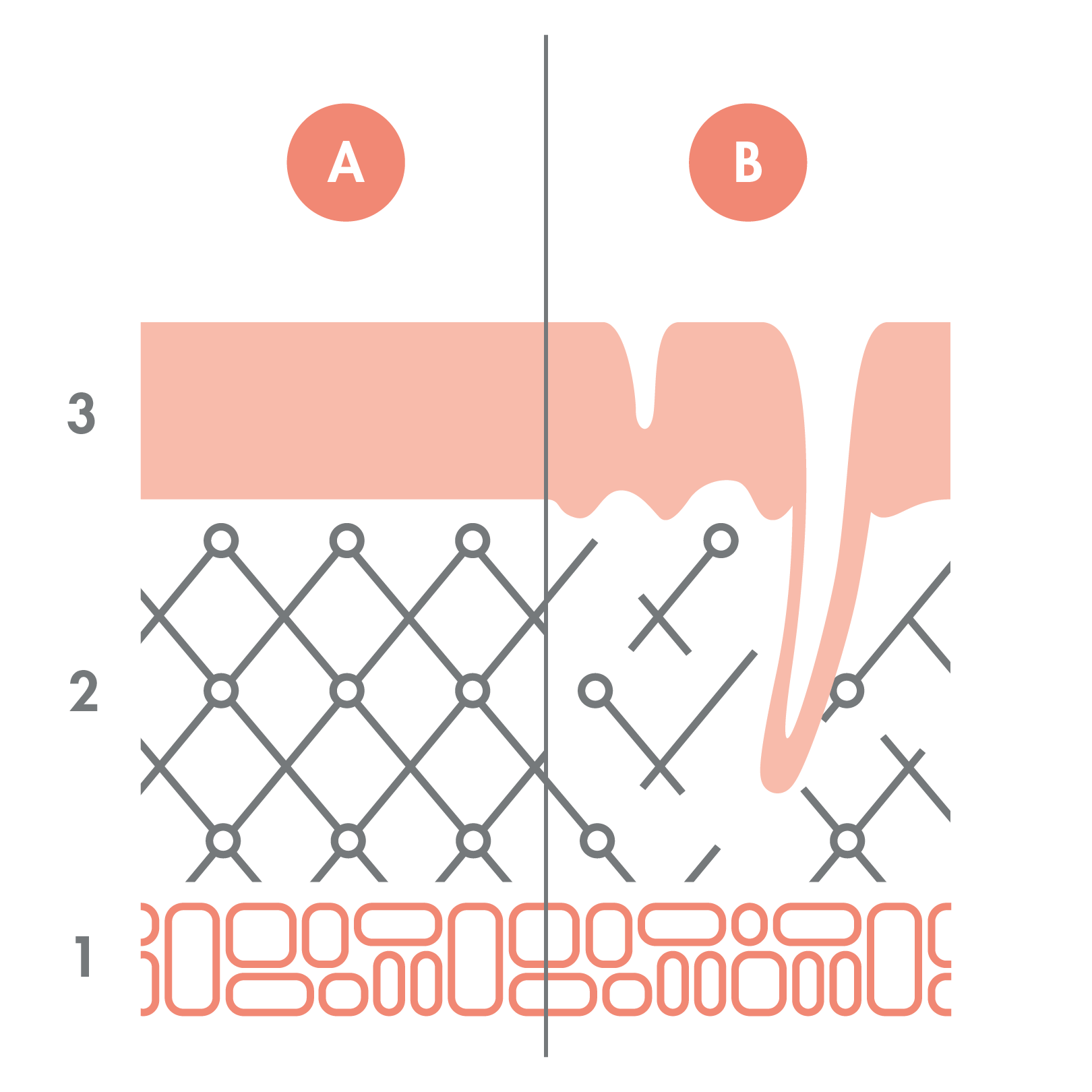 av_anti-age_schema_peau-jeune_peau-vieille_1x1_v2