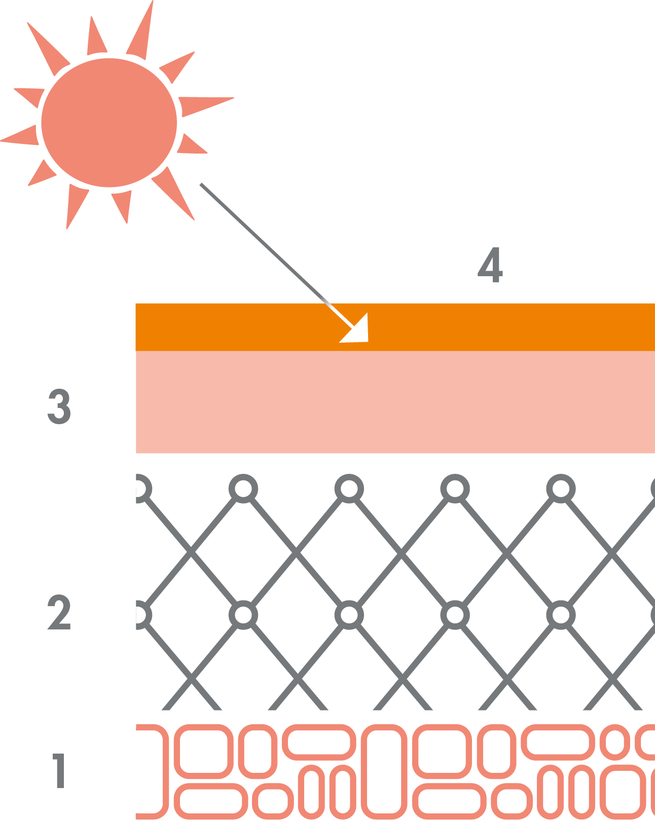 <p>1: Hipoderme; 2: Derme; 3: Epiderme; 4: Protetor solar</p>

