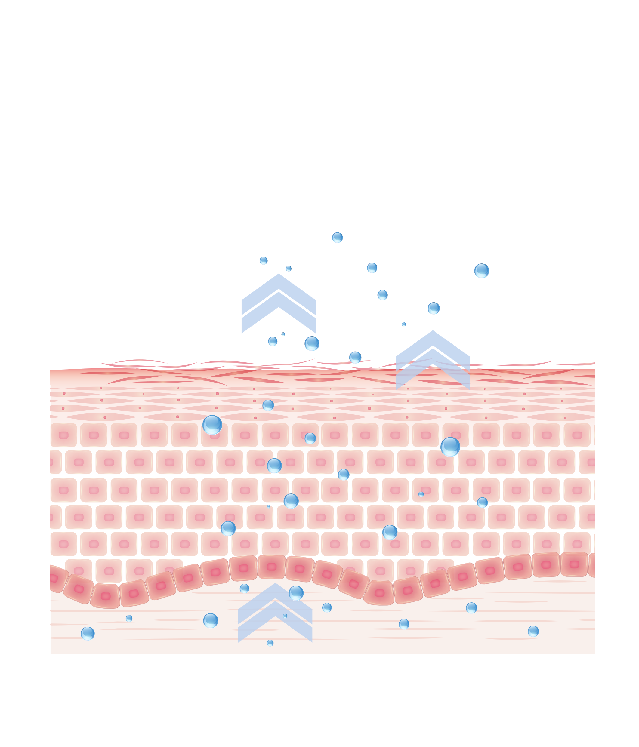 Characteristics of atopic skin³ ⁴