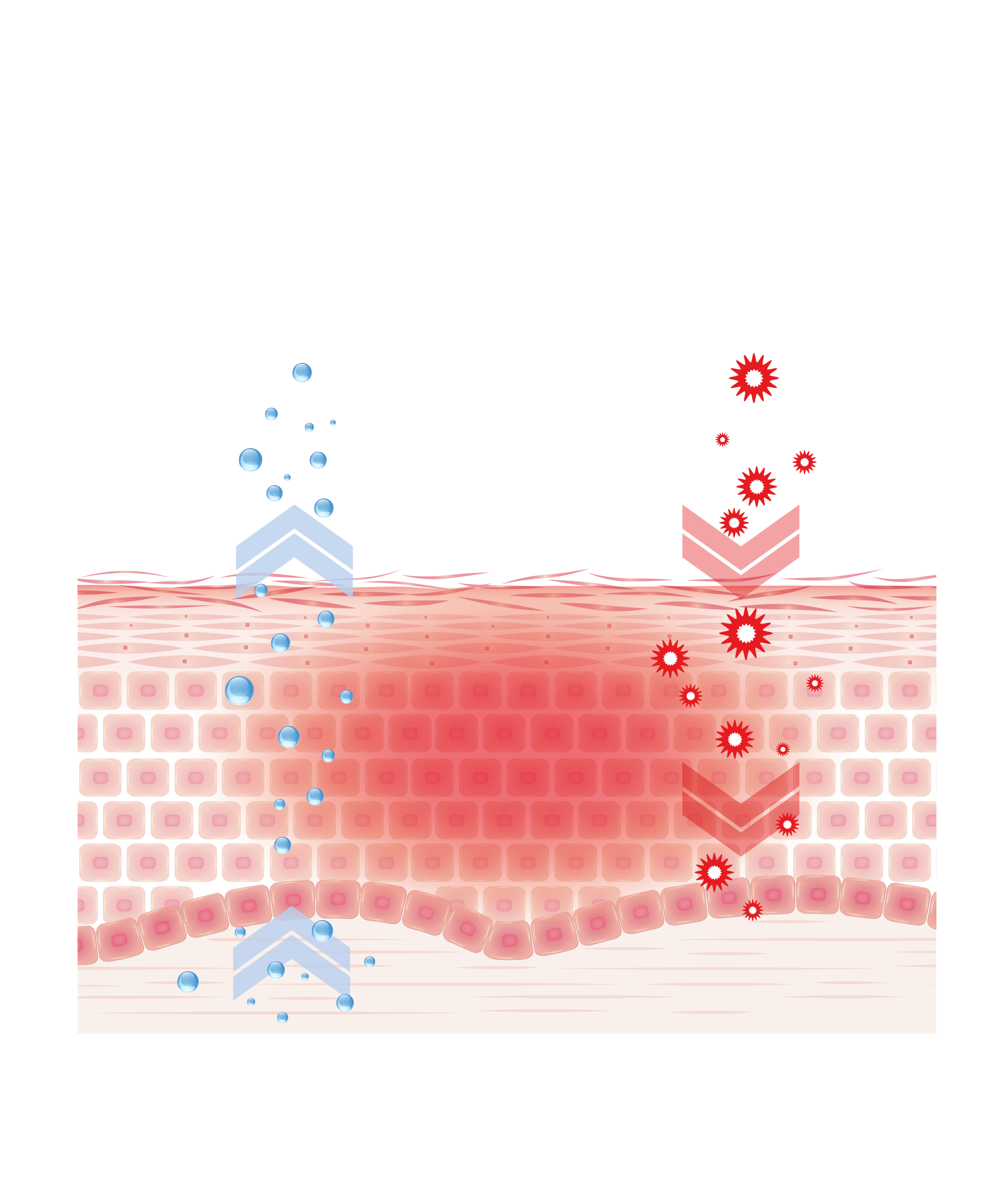 Skin permeable to external aggression
