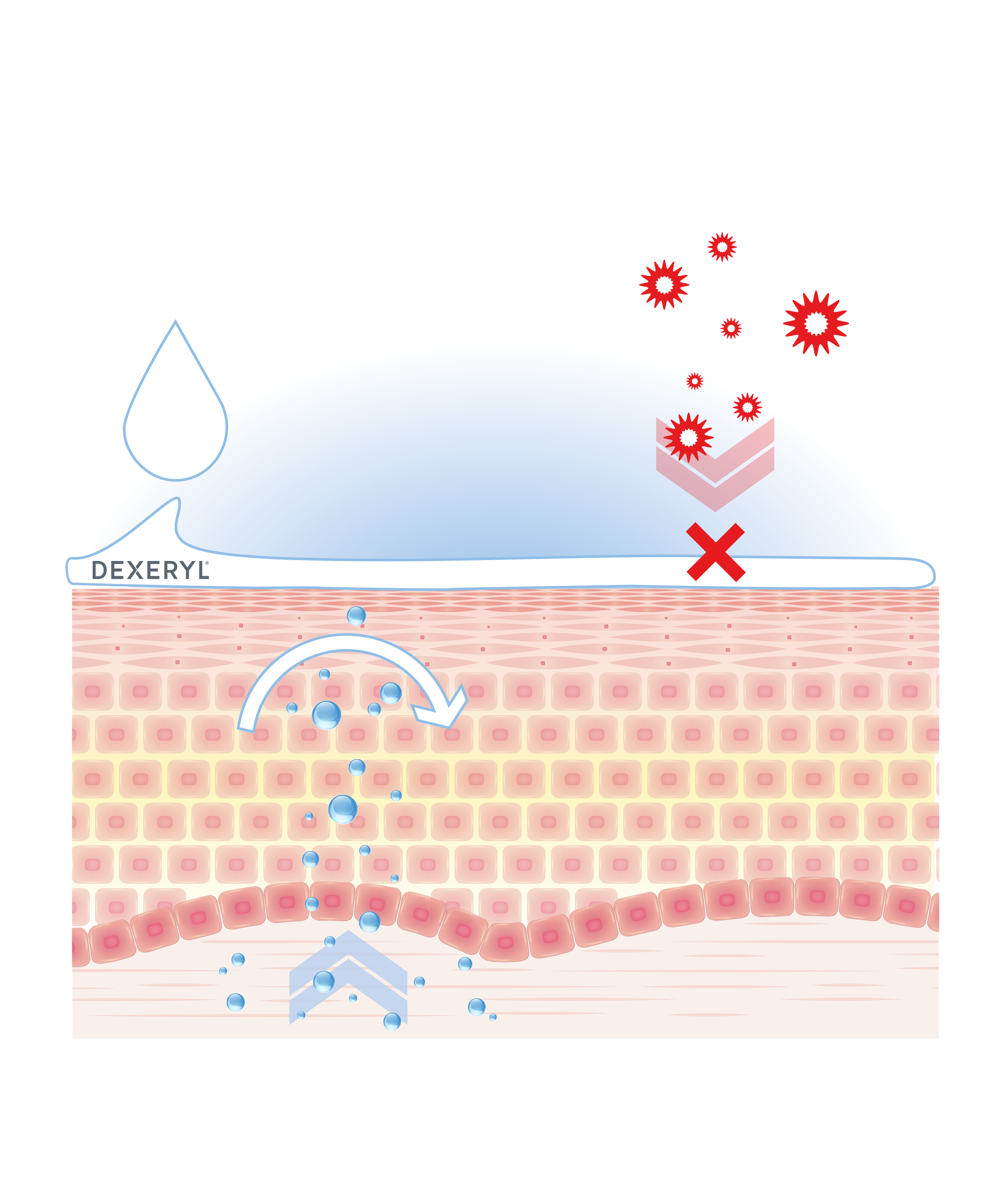 MD_Dexeryl_Website-Dexeryl-Action-No-Text
