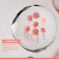 From birth, Pregnant women, People undergoing anti-cancer treatment or post-treatment