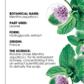 Detox Shampoo with Organic Mint - All hair types