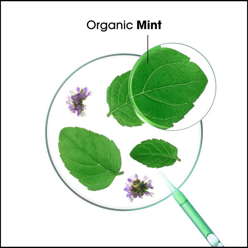 Detox Shampoo with Organic Mint - All hair types