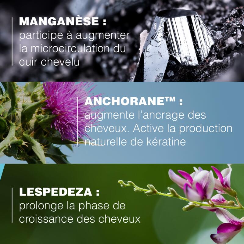 Sérum antichute et ancrage