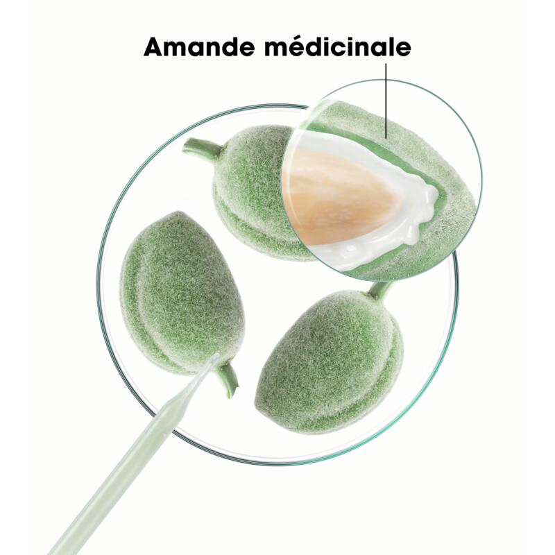 Shampoing Gainant à l’Amande — Tous types de cheveux