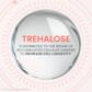 Lifting-Serum – 0,1 % Retinal