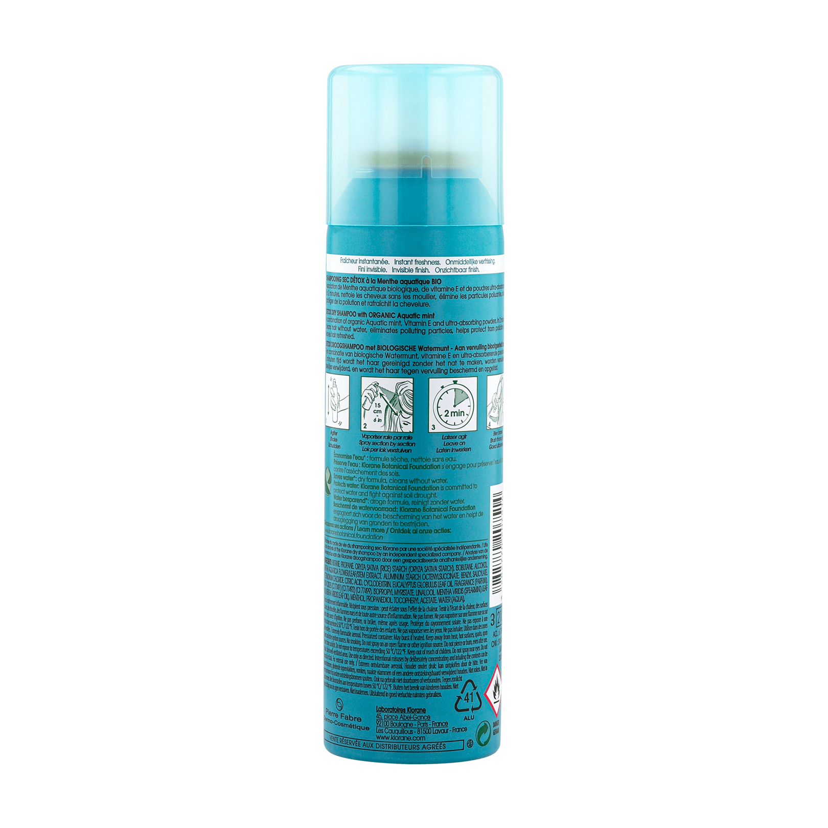 Detox Dry Shampoo with ORGANIC Aquatic Mint