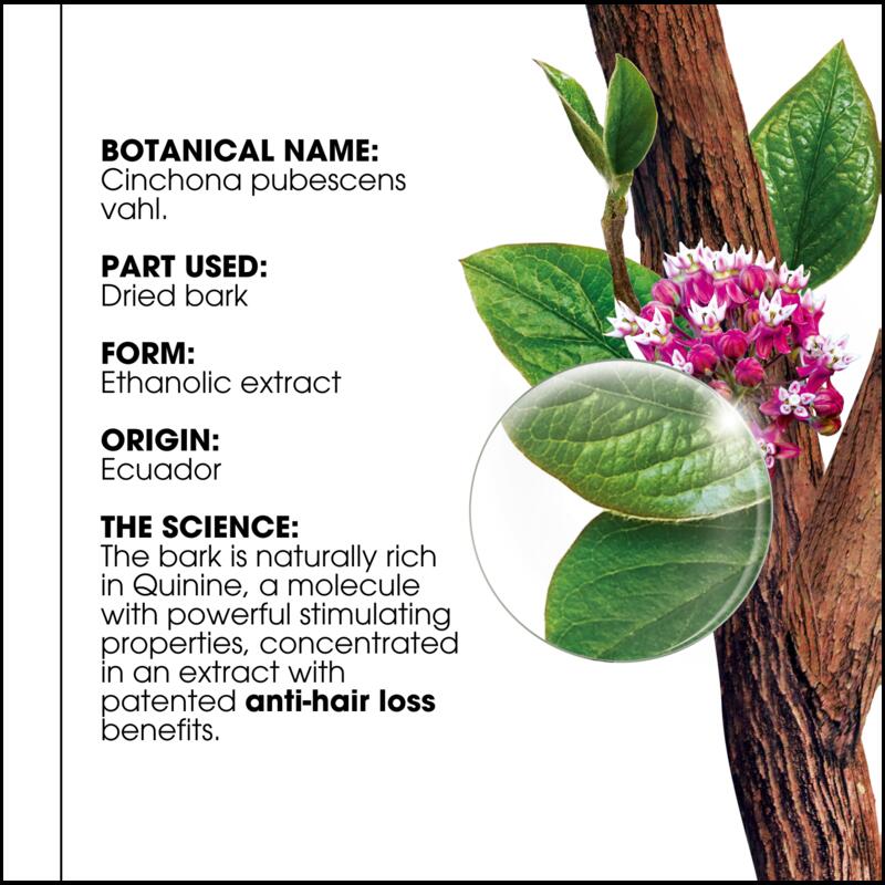 Strengthening Shampoo with Quinine & Organic Edelweiss - Thinning hair