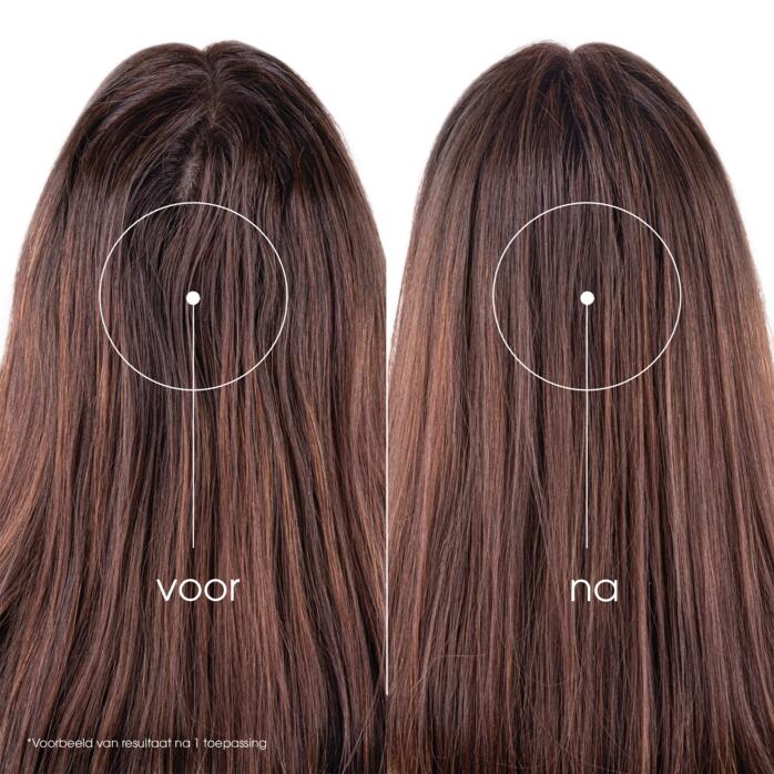 Resultaten Droogshampoo met Brandnetel & Vitamine E - Getint