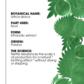Oil Control Shampoo with Organic Nettle - Oily hair
