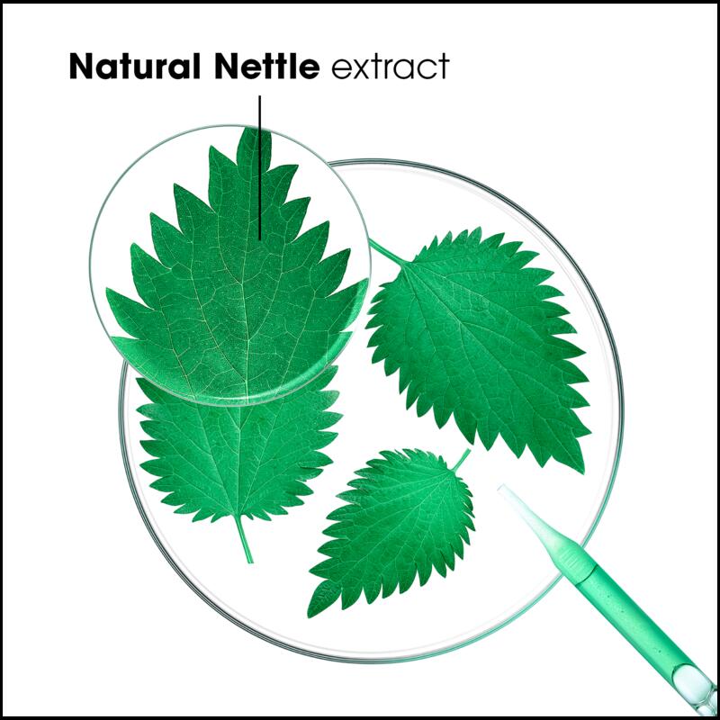 Oil Control Shampoo with Organic Nettle - Oily hair