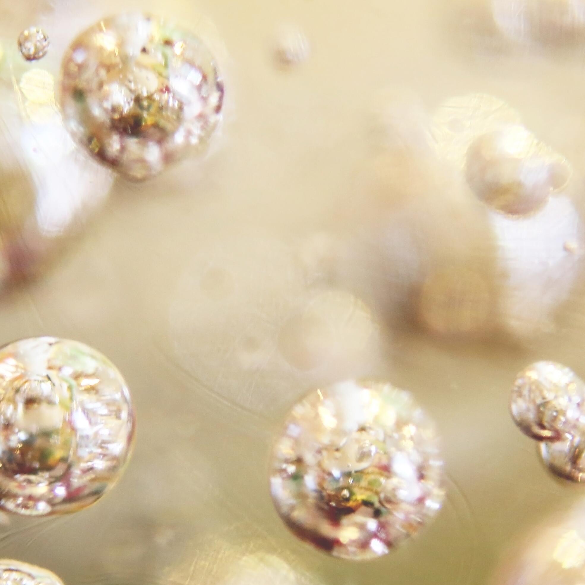 Polifenoles de vainilla