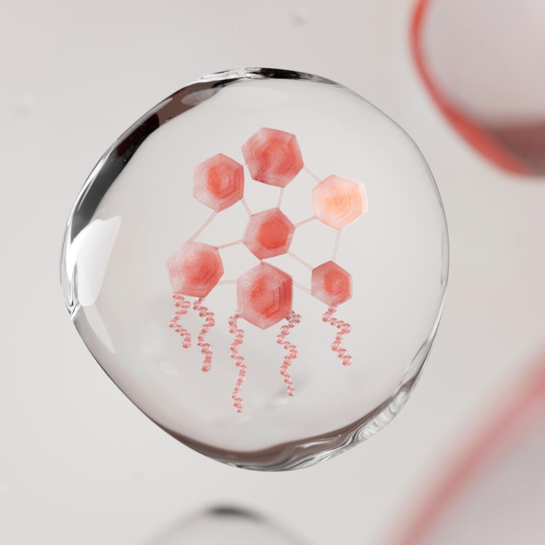 AV_xeracalm-A-D_3282770399585_3282770399523_I-modulia-_1x1