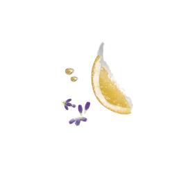 Trio-van-etherische-oliën:-Sinaasappel,-Rozemarijn-en-Lavendel