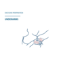 Antitranspirant Roll-On Achseln