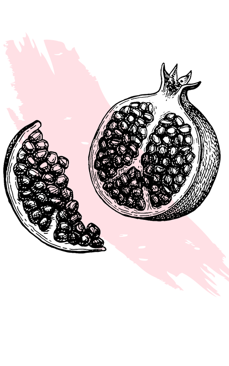 kl_pomegranate_active-ingredient_engraving_756x472px