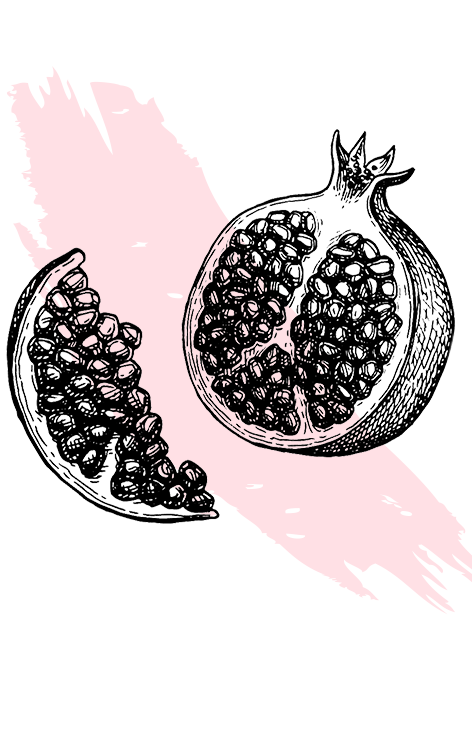 kl_pomegranate_active-ingredient_engraving_756x472px 472x756