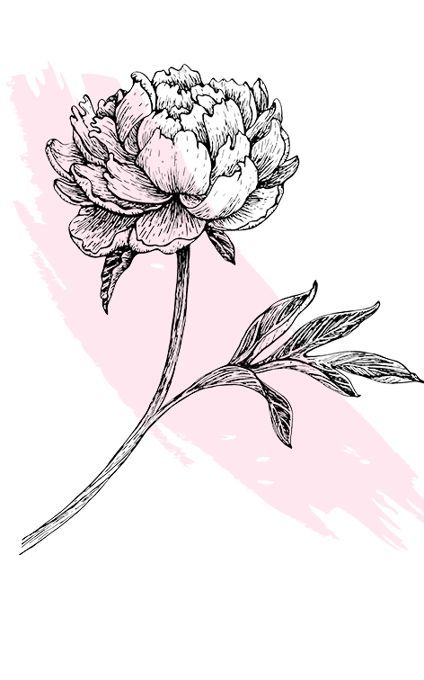kl_peony_active-ingredient_engraving_756x472px