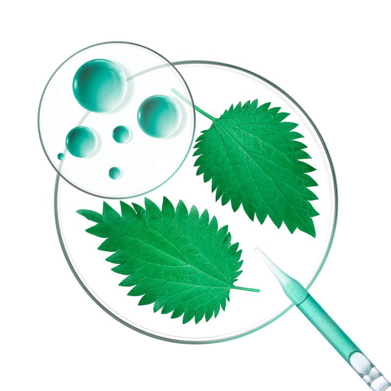 PURIFIANT TEINTÉ Shampoing sec à l'Ortie et Vitamine E