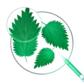SÉBORÉDUCTEUR Shampoing purifiant et équilibrant