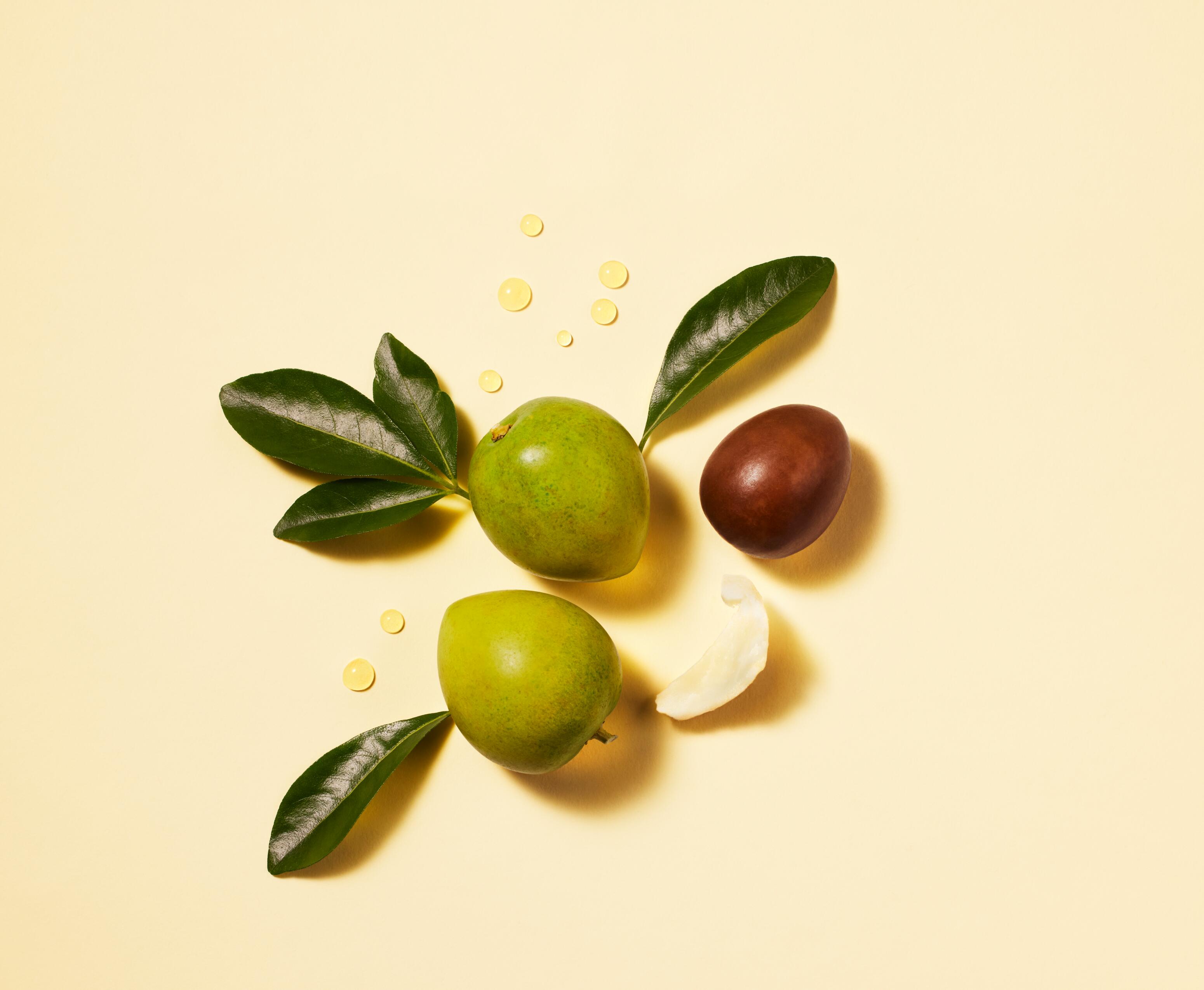 Shea butter and shea oil, the perfect partners to dry hair.