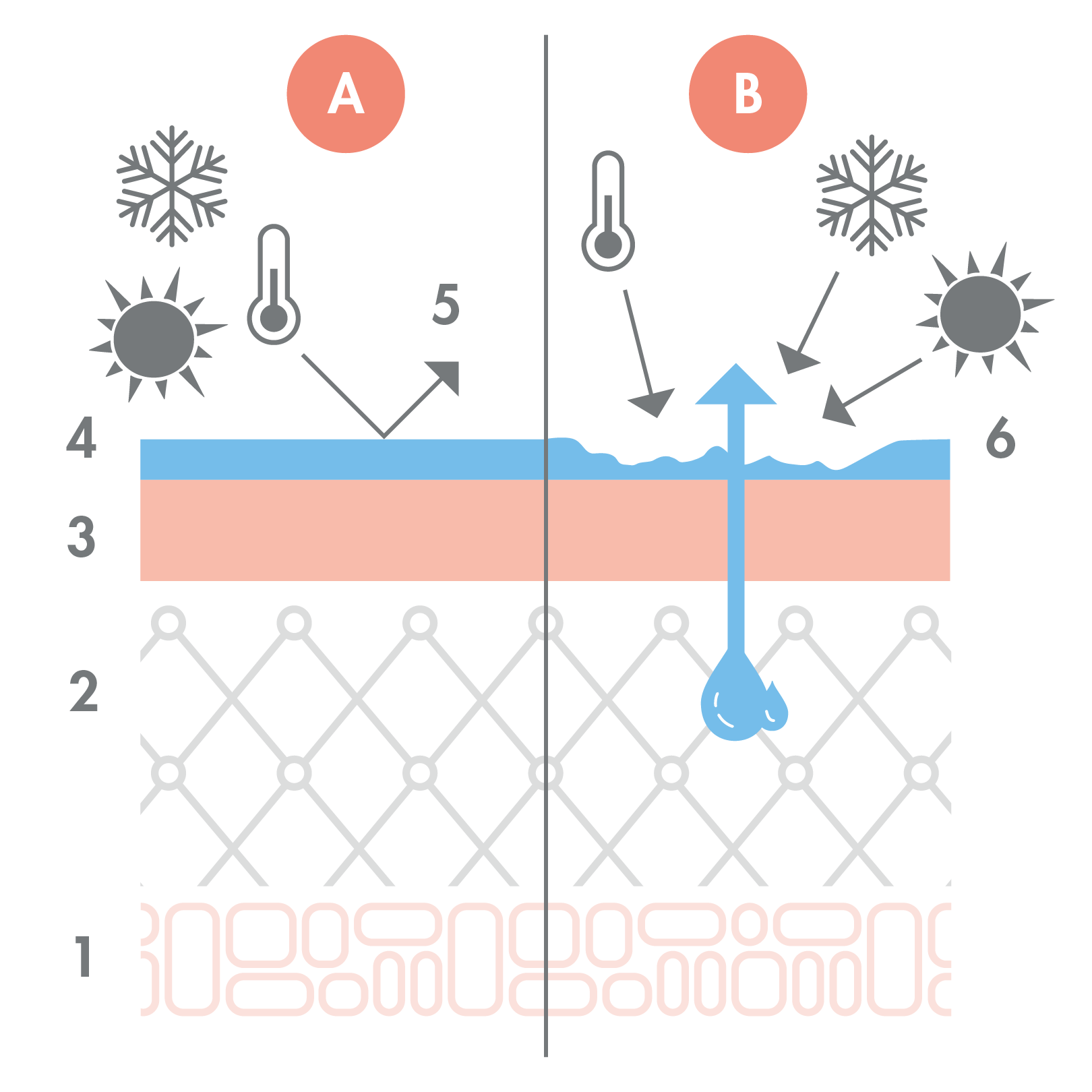 av_peau-seche-deshydratee_schema_avant-apres_1x1