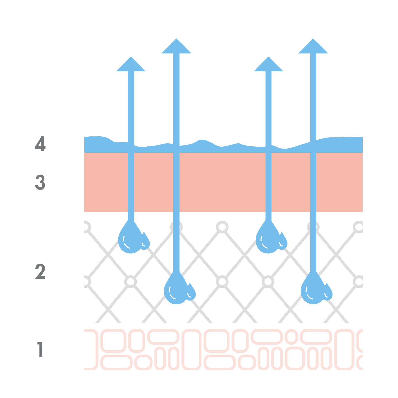 av_peau-seche-deshydratee_schema_alteration-film-hydrolipidique_1x1