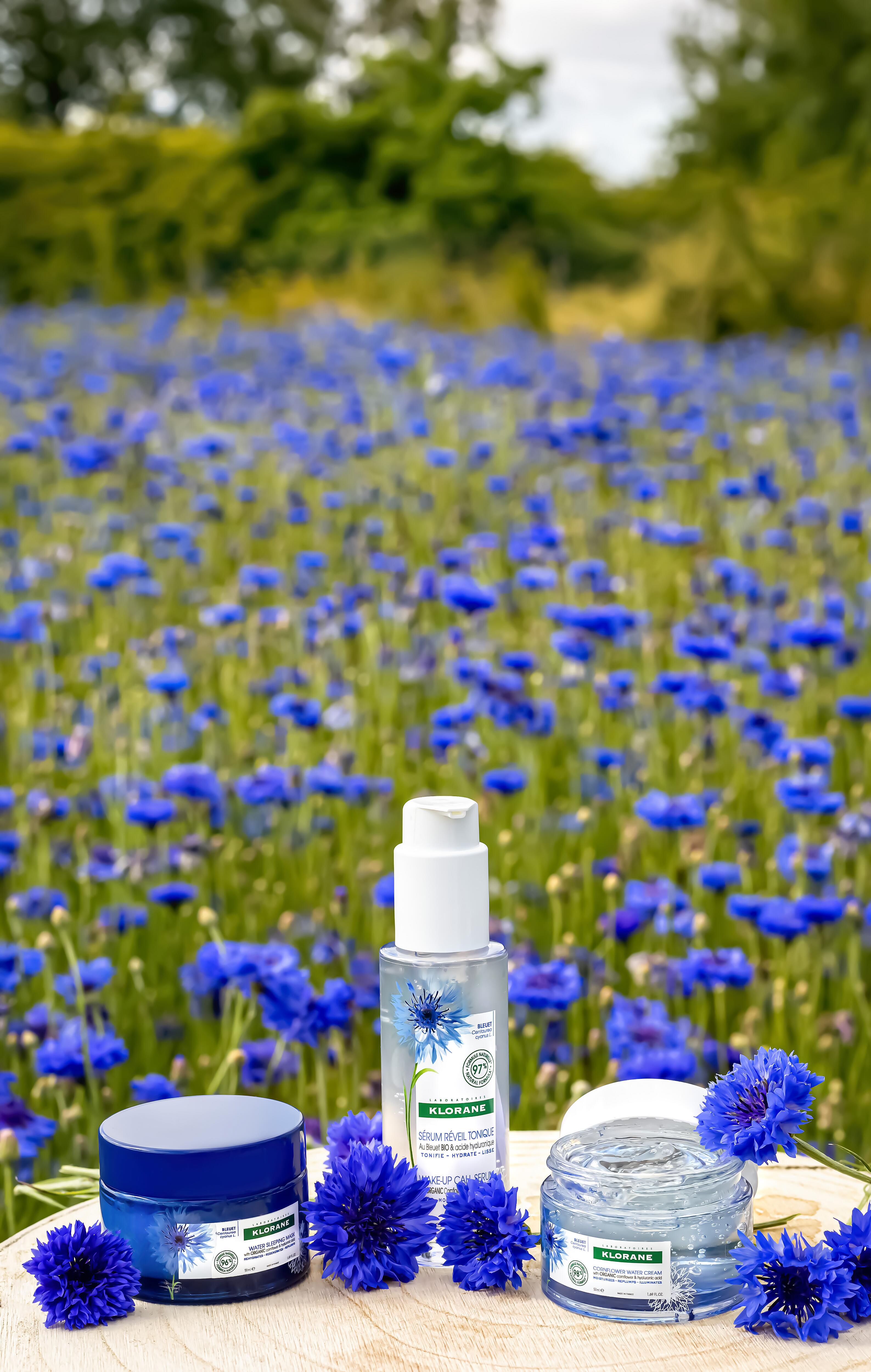 kl_cornflower_active-ingredient_field_plant_2020-35-