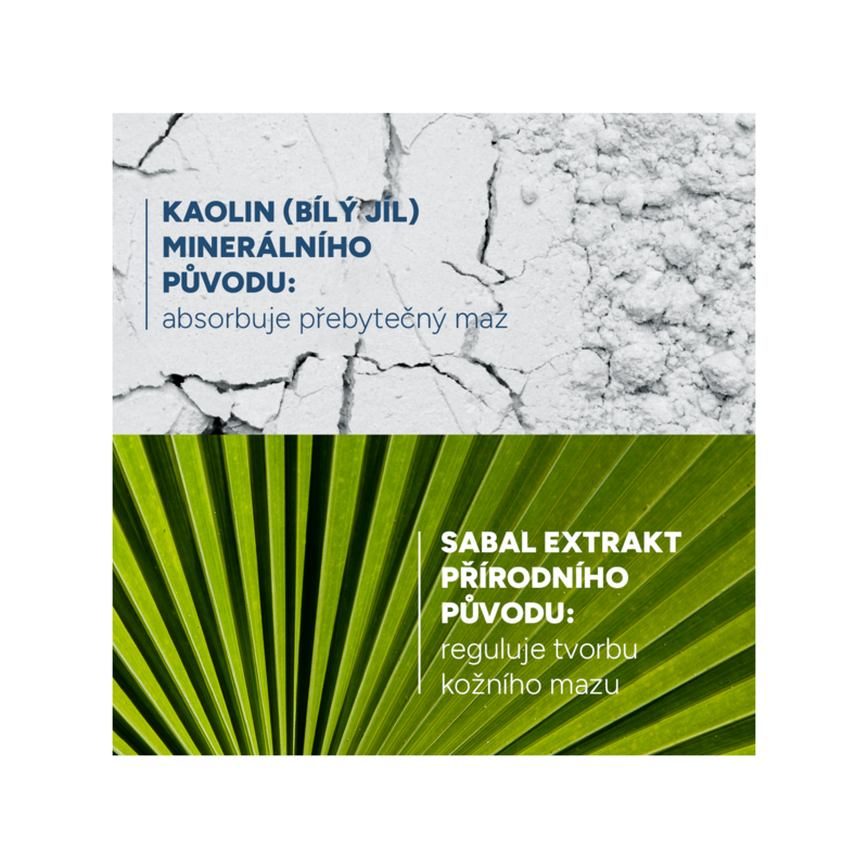 SABAL ARGEAL Šampon absorbující kožní maz pro každodenní použití