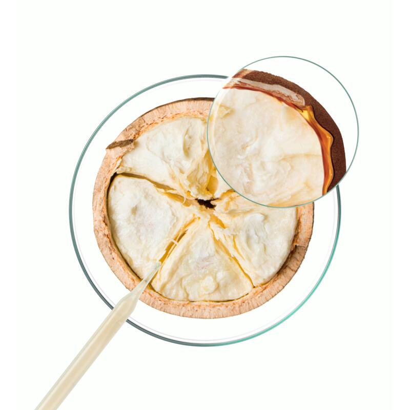 Balsamo RISTRUTTURANTE, nutriente e disciplinante 