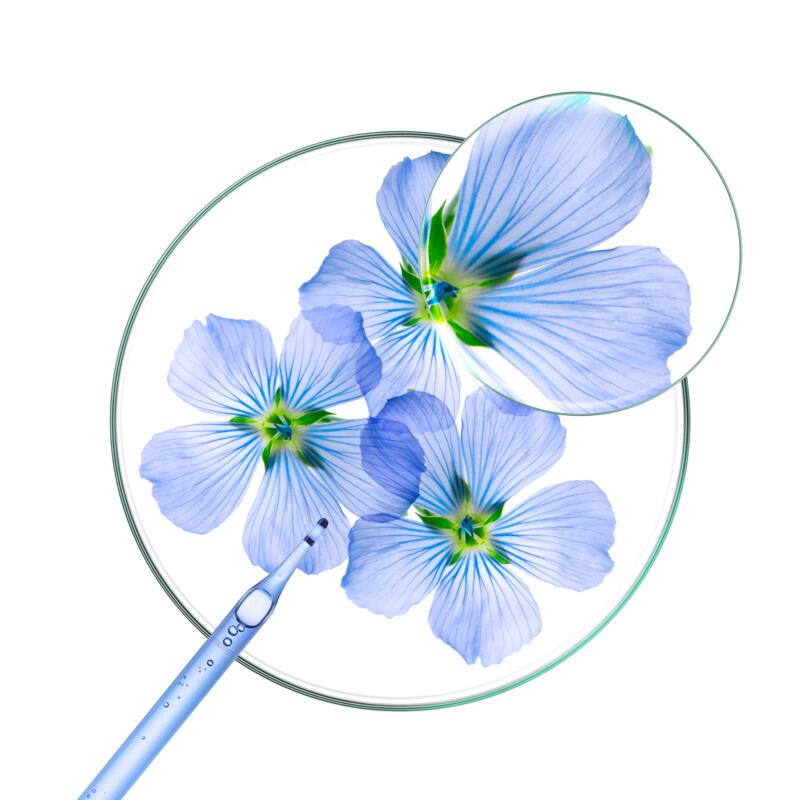 VOLUME Shampoing sec texturisant