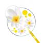 Crema Solare Sublime Protezione Molto Alta SPF 50+ Viso