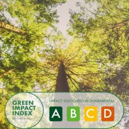 Green Impact Index (“índice de Impacto Ecológico”, em português)