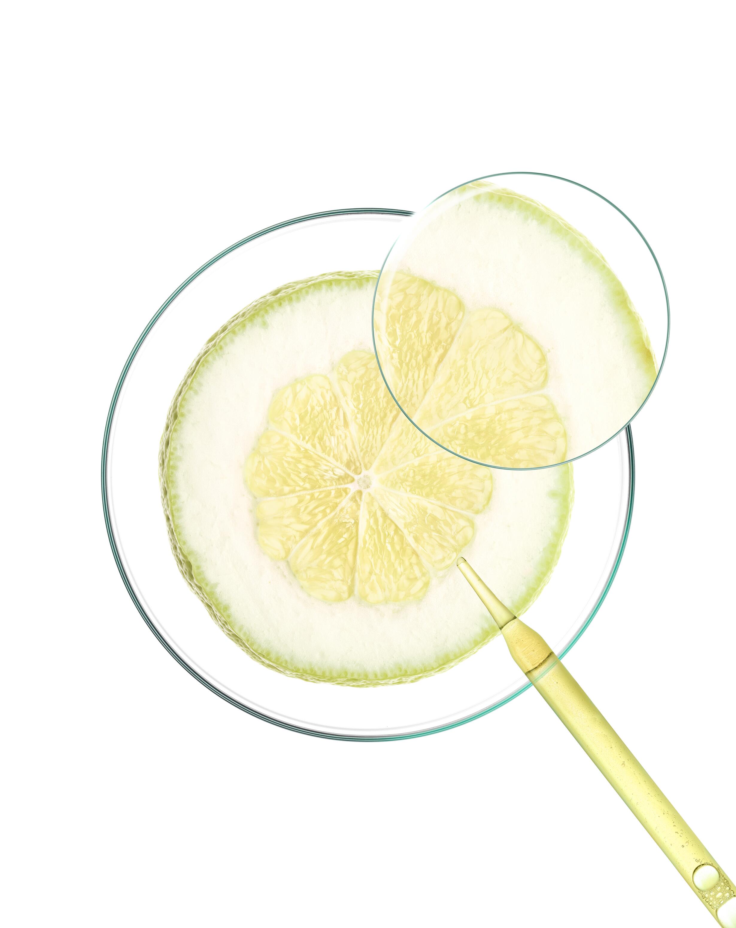 kl_citrus_petri-dish_open-files