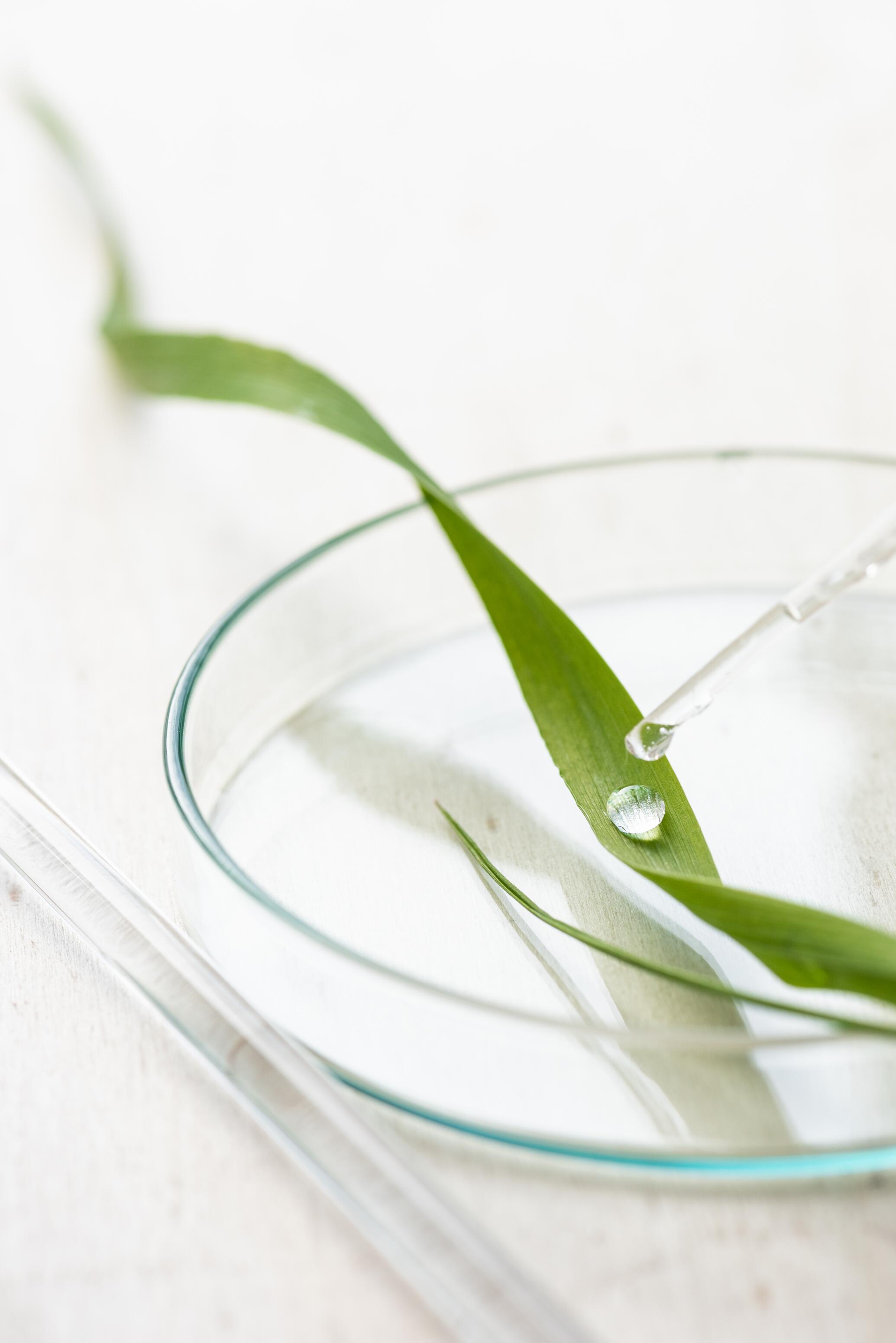 AD_OAT-EXPERTISE_PLANTLET-CLOSEUP_2020